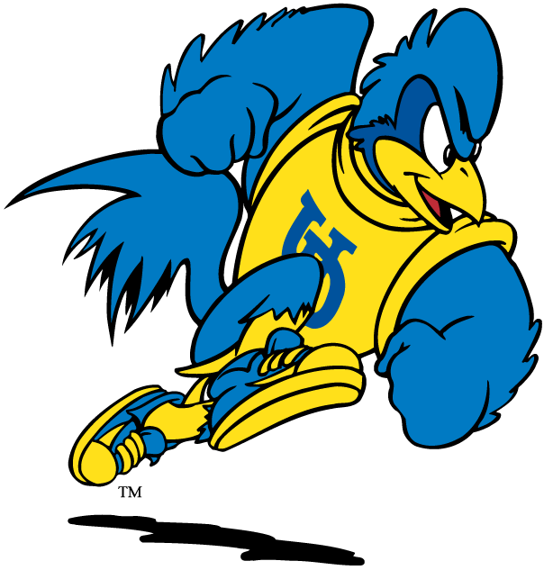 delaware blue hens 1993-pres mascot Logo v2 iron on transfers for T-shirts